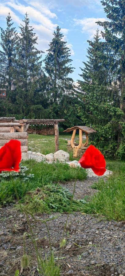 Veľký SlavkovMlyn Tatryアパートメント エクステリア 写真