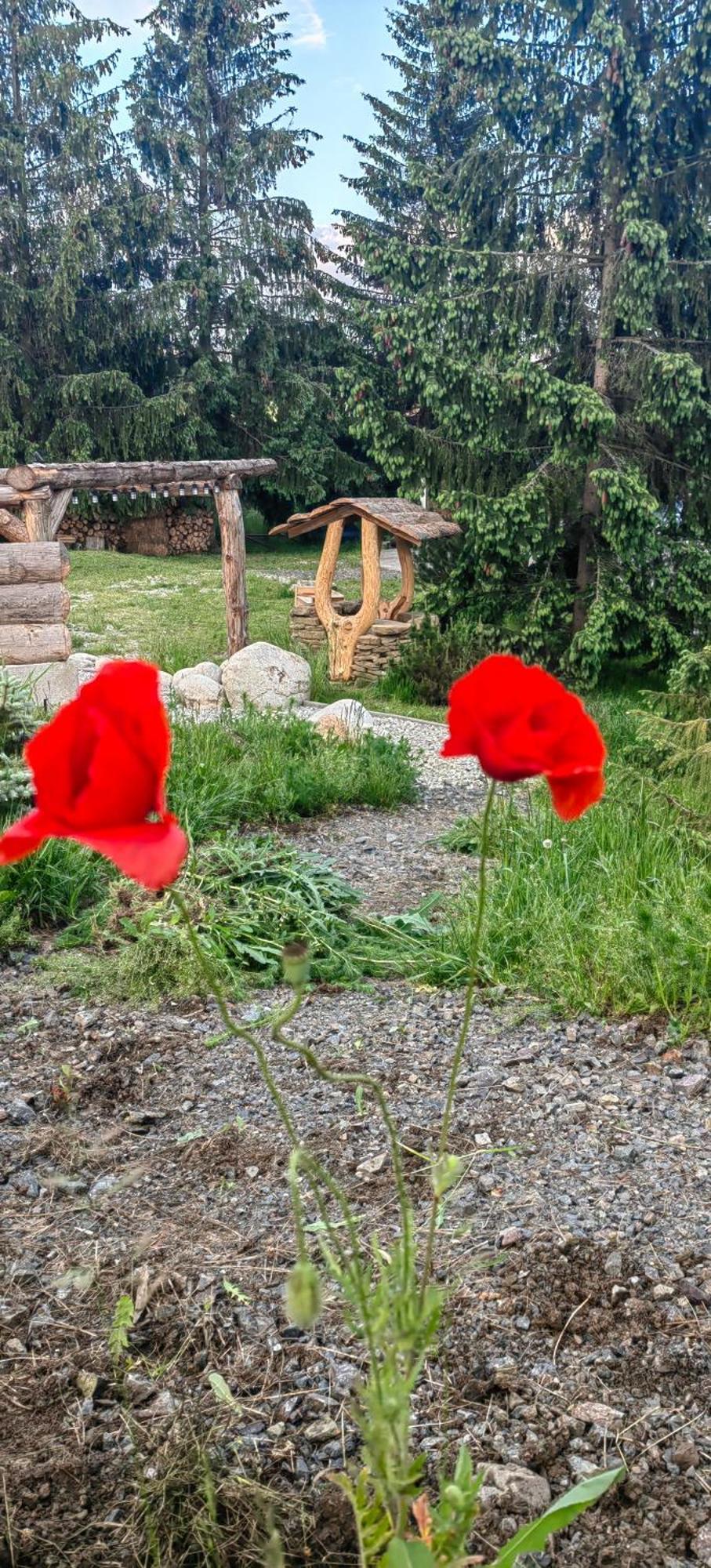 Veľký SlavkovMlyn Tatryアパートメント 部屋 写真